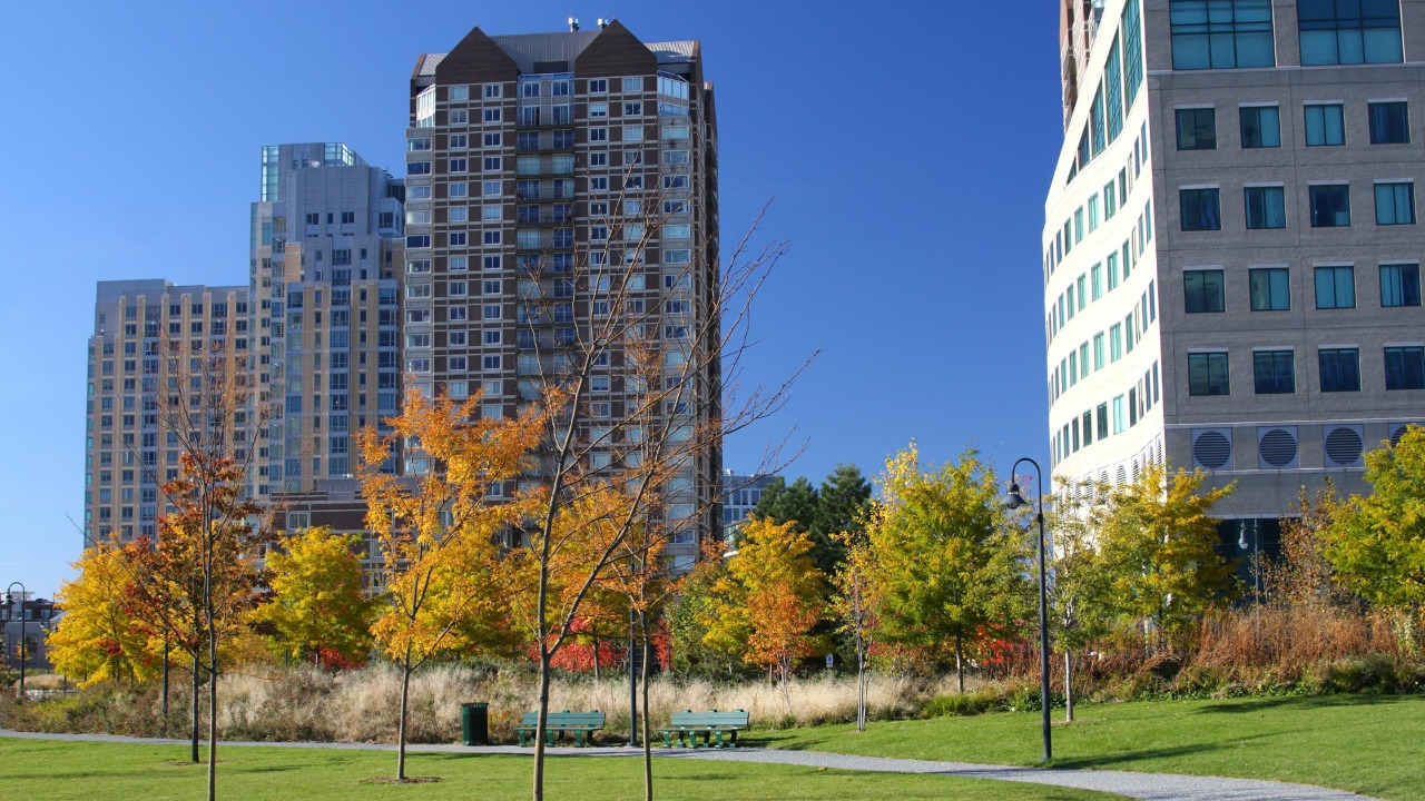 WhatsApp Image 2020-08-28 at 14.32.18